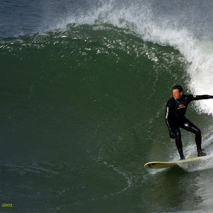 Fundraising Page: Attila Tota